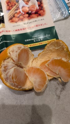 お礼の品の感想画像 1