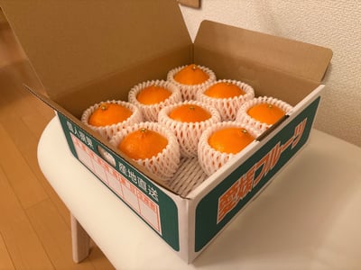 お礼の品の感想画像 2