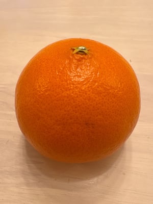 お礼の品の感想画像 3