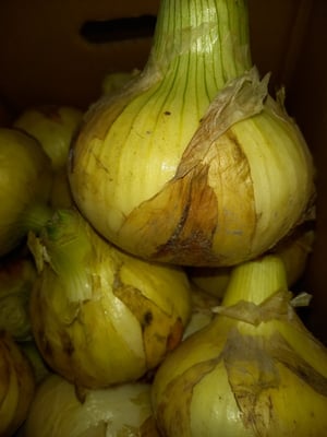 お礼の品の感想画像 2