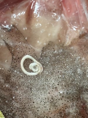 お礼の品の感想画像 2