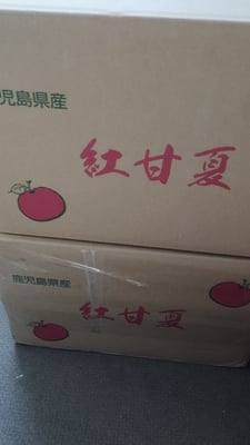 お礼の品の感想画像 2