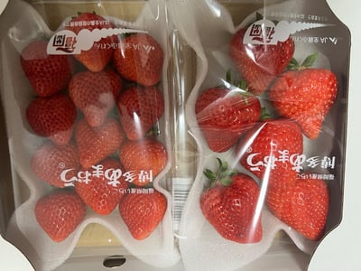 お礼の品の感想画像 1