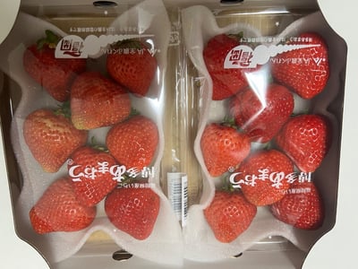 お礼の品の感想画像 2