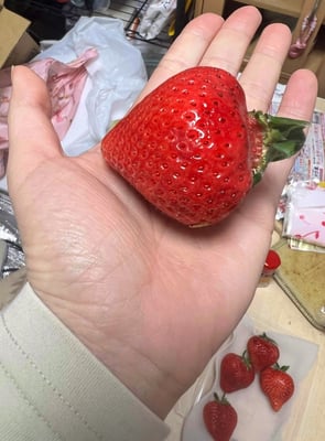 お礼の品の感想画像 3