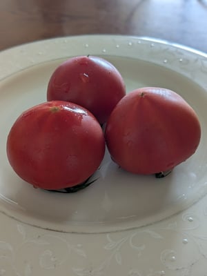 お礼の品の感想画像 2