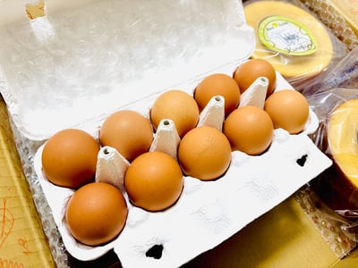 お礼の品の感想画像 2