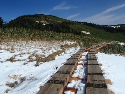 2020年事業分の木道。10月に降雪がありました。
