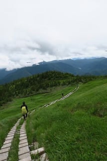 2018年に整備した木道は、2年後も快適な登山を応援してくれました。