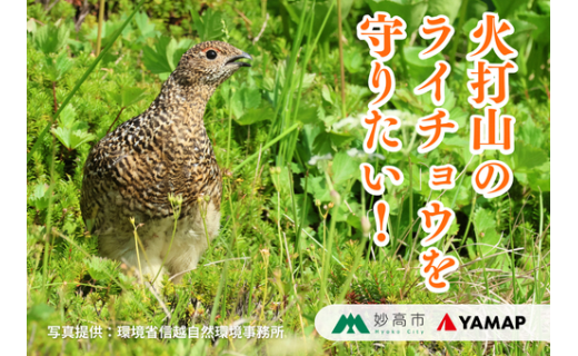 【御礼】ネクストゴール達成！たくさんの温かいご支援、ありがとうございました。