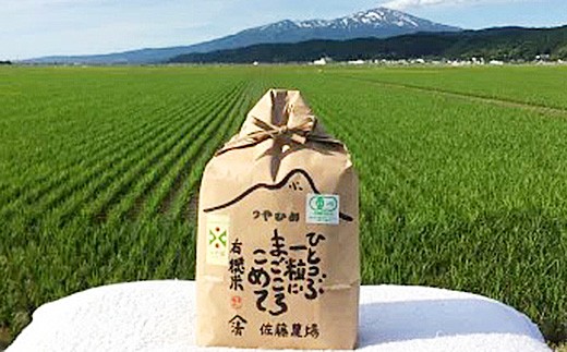 SA1434　令和4年産【精米】有機栽培米 つや姫 3kg YU