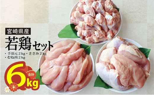 宮崎県産 若鶏 むね ささみ 手羽元 セット 各2kg 合計6kg 小分け 1kg袋 国産 鶏 肉