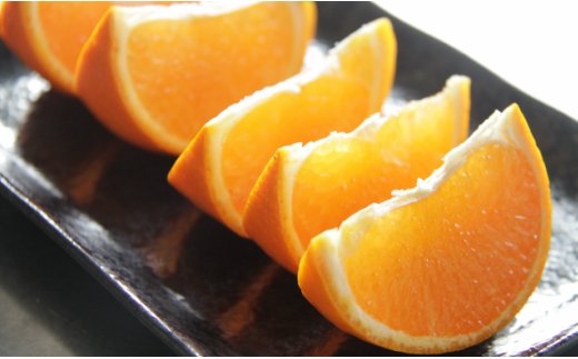 とろっとジューシー柑橘の女王 せとか - フルーツ 果物 デザート のし ku-0029