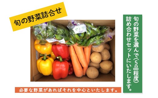 旬の野菜詰合せ【思いやり型返礼品】 FZ19-523