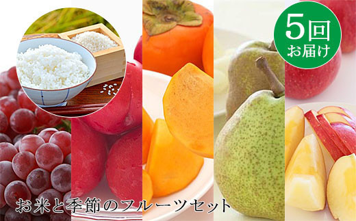 【定期便5回】お米と季節のフルーツセット FY19-170