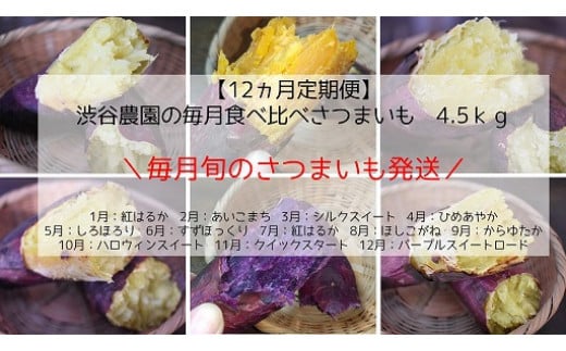 BZ-21 【12ヶ月定期便】渋谷農園の毎月食べ比べさつまいも 約4.5kg
