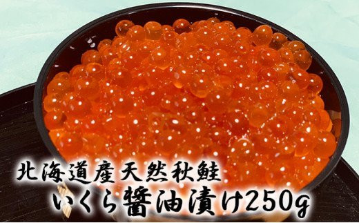 [№5793-0792]北海道産天然秋鮭　いくら醤油漬け500g×1パック