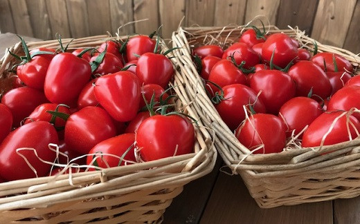 増量2kg！甘さ抜群!!トマト嫌いでも食べられるトマトベリー 4月～6月発送 　H004-078