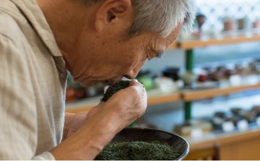 [№5786-3805]コロナ緊急支援　訳あり浜松茶100g×5袋