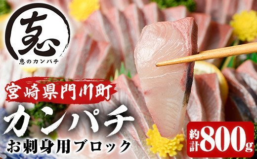 【AO-3】宮崎県産「恵のカンパチ」お刺身用ブロック(計約800g)4ブロックの小分けでお届け！【濵田水産】