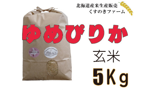 【令和4年産】北海道岩見沢産くすのきファームのゆめぴりか精米（5Kg）【34007】