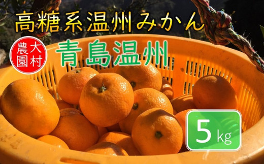 大分県津久見市の津久見の太陽を浴びた幸せの甘いみかん ふるさと納税 ふるさとチョイス