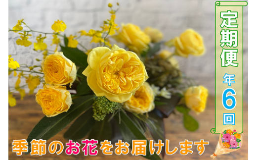 (1601)長門産 季節のお花の定期便（年6回毎月コース）