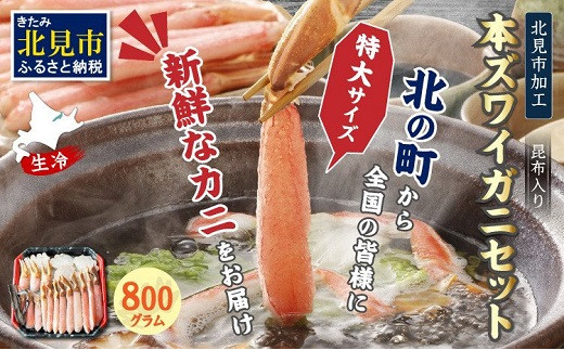 【A3-033】北見市加工 生冷本ズワイガニセット（800g・昆布入）