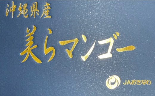 【2024年発送】沖縄最上級ブランド 美らマンゴー約１kg【数量限定】
