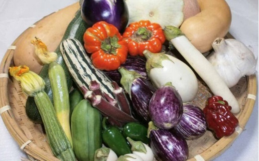 イタリア野菜セットレギュラー 10品 (H078129)