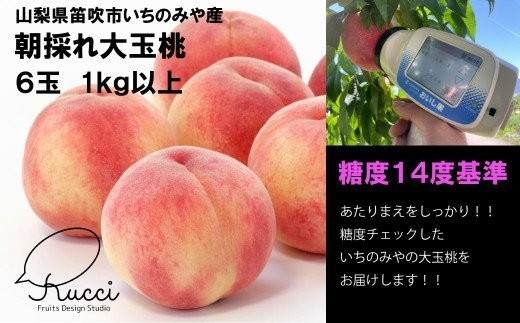 【朝採り】一宮の桃９～１２玉　約２．８ｋｇ【糖度１４度以上】