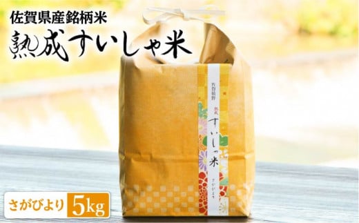 令和5年産 熟成すいしゃ米 佐賀県産 さがびより 5kg 【一粒】[NAO010] さがびより 特A 米 お米 白米 精米 プレゼント 贈物 佐賀県産 熟成水車米