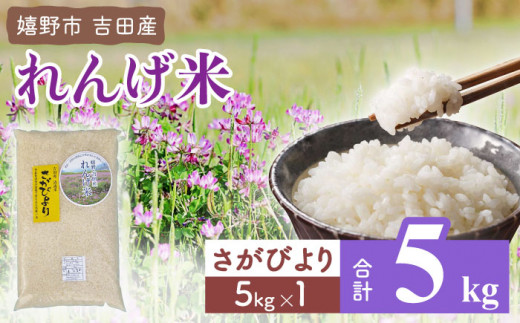 佐賀県嬉野市の自然豊かな嬉野で育てられた”こだわりのお米”特集