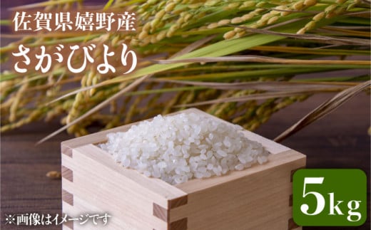 令和6年産 さがびより5Kg 【吉田まんぞく館】 [NAG005] 米 お米 佐賀県 嬉野産 さがびより ブランド米