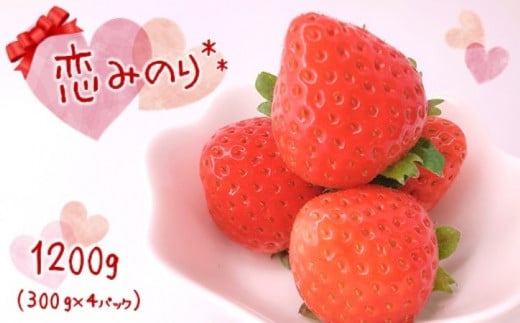 【1月以降発送】熊本たまな産 イチゴ 恋みのり 約1000g （ 250g × 4パック ） | フルーツ 果物 くだもの 苺 いちご 熊本県 玉名市