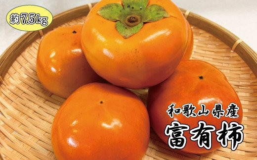 和歌山秋の味覚　富有柿　約7.5kg　※2023年11月上旬頃～2023年11月下旬頃発送（お届け日指定不可）