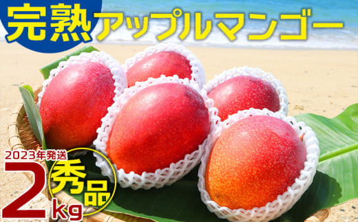 農園一番人気の完熟アップルマンゴー　秀品・約2kg【2023年発送】農園から直送！