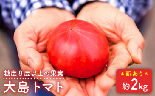 【 訳あり 】高糖度 トマト 糖度8度以上！ 大島 トマト 約1.8kg  西海市産 トマト とまと 野菜 新鮮 旬  ＜大島造船所 農産グループ＞ [CCK007]