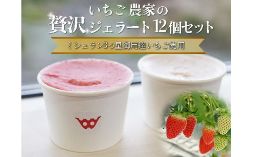 いちごよりいちごを感じるジェラート＆季節のおすすめ 12個入り