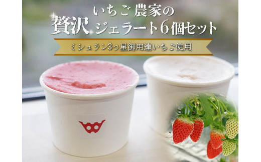 いちごよりいちごを感じるジェラート＆季節のおすすめ 6個入り