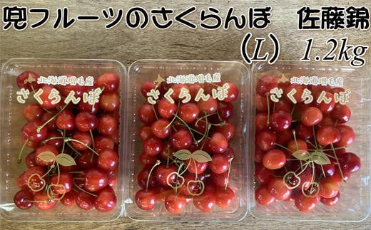 6-012-028　兜フルーツのさくらんぼ 佐藤錦（L）1.2kg