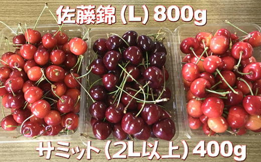 6-014-016　ワカバヤシ果樹園のジューシー★オイシーさくらんぼ 1.2kg