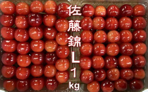 6-012-047　秋香園 さくらんぼ 佐藤錦 1kg（L）