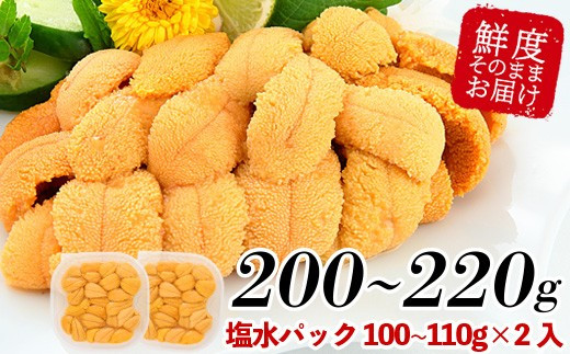 B-81007  ムラサキウニ塩水パック100～110g×2P【12月6日決済分まで年内配送】