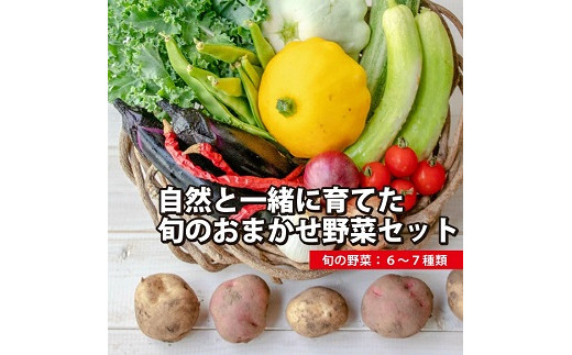 831　【自然栽培】『まえむき。』の、自然と一緒に育てた旬のおまかせ野菜セット6〜7種類