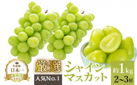 ＜25年発送先行予約＞厳選!!池田青果のシャインマスカット1.0kg 2~3房 173-006 | シャインマスカット 1kg 発送 池田青果 笛吹市 山梨県 フルーツ 果物 ぶどう 葡萄 大粒 おすすめ シャインマスカット 贈答 シャインマスカット ギフト 産地 期間限定 笛吹市 1kg 高級 笛吹 葡萄 国産 ぶどう 人気 1キロ 国産シャインマスカット マスカット 先行 予約 青果 |