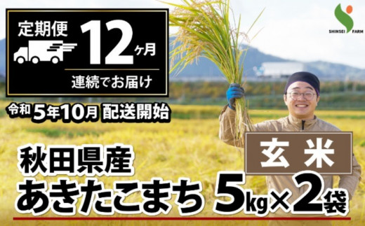 650P9002 【定期便12ヶ月】秋田県産あきたこまち(玄米)10kg