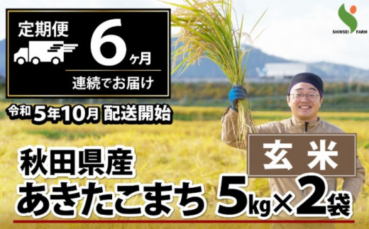 330P9002 【定期便6ヶ月】秋田県産あきたこまち(玄米)10kg