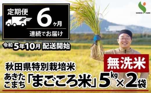 390P9201 【定期便6ヶ月】秋田県特別栽培米あきたこまち「まごころ米」(無洗米)10kg