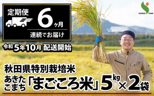 390P9001 【定期便6ヶ月】秋田県特別栽培米あきたこまち「まごころ米」10kg